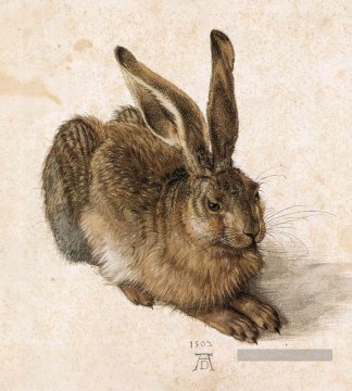  durer - Un jeune lièvre Albrecht Dürer